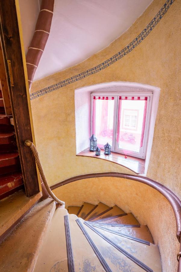Gite Le Carpe Diem - Classe 3 Etoiles - Centre Ville - Wifi - Netflix Marmoutier エクステリア 写真